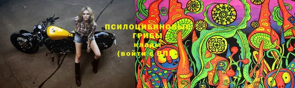 а пвп мука Инсар