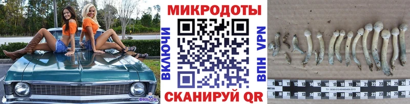 Купить закладки  Пыталово  Псилоцибиновые грибы прущие грибы 
